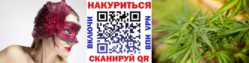 Альфа ПВП Заозёрный