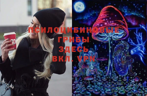 apvp Лагань