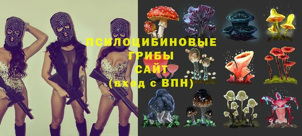 гидропоника Орск